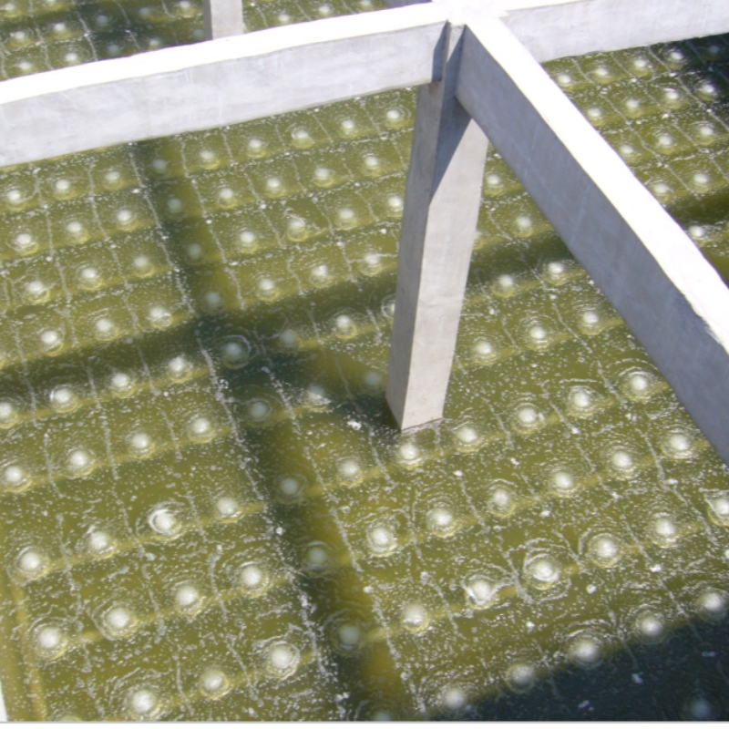 διασκορπιστής λεπτών φυσαλίδων