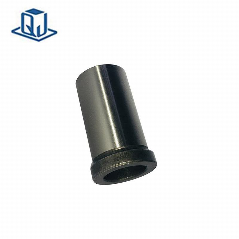 οδηγός θάμνος