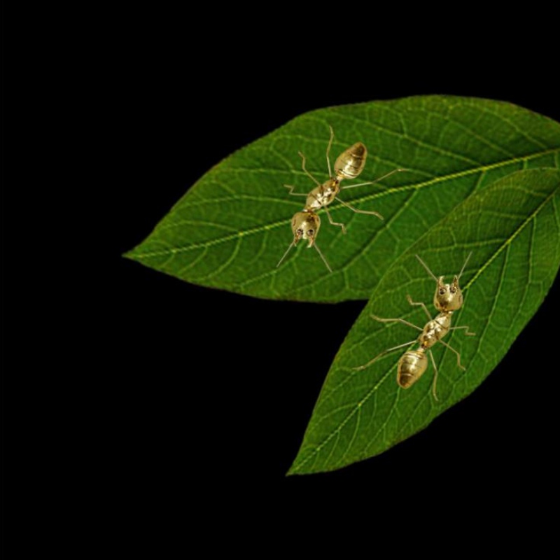 Εργοστάσιο απευθείας πωλήσεων δημιουργικό μοντέρνο ρετρό ελαφρύ πολυτελές χρυσό μεταλλικό μυρμήγκι διακοσμητικό διακόσμησης σ...