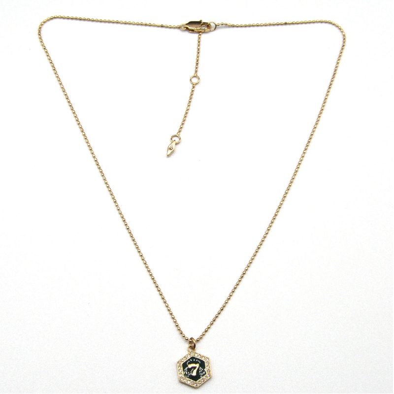 Digital Pendant, κολάρο από ανοξείδωτο χάλυβα