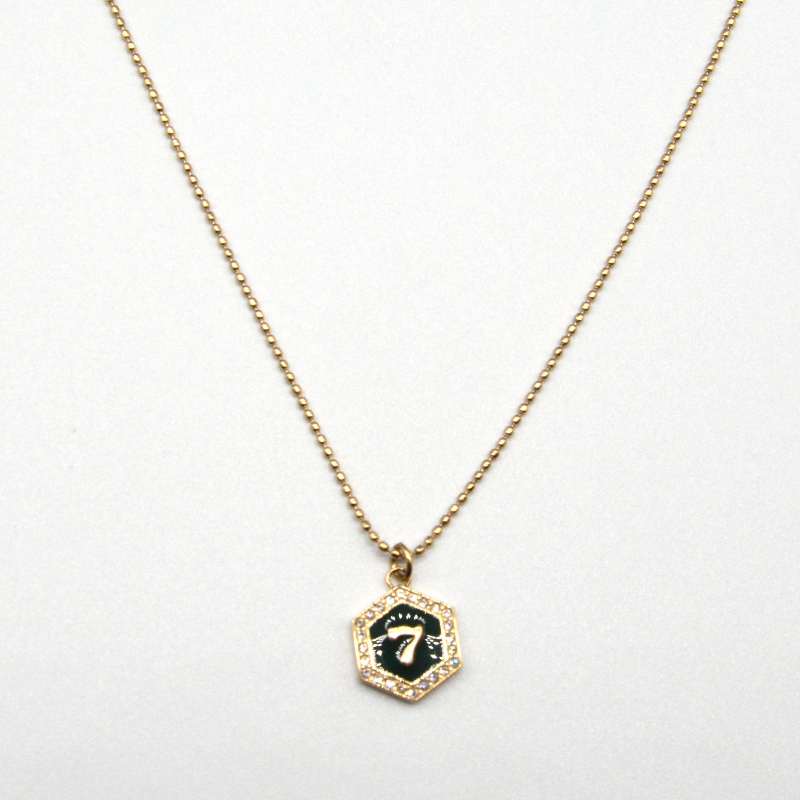 Digital Pendant, κολάρο από ανοξείδωτο χάλυβα