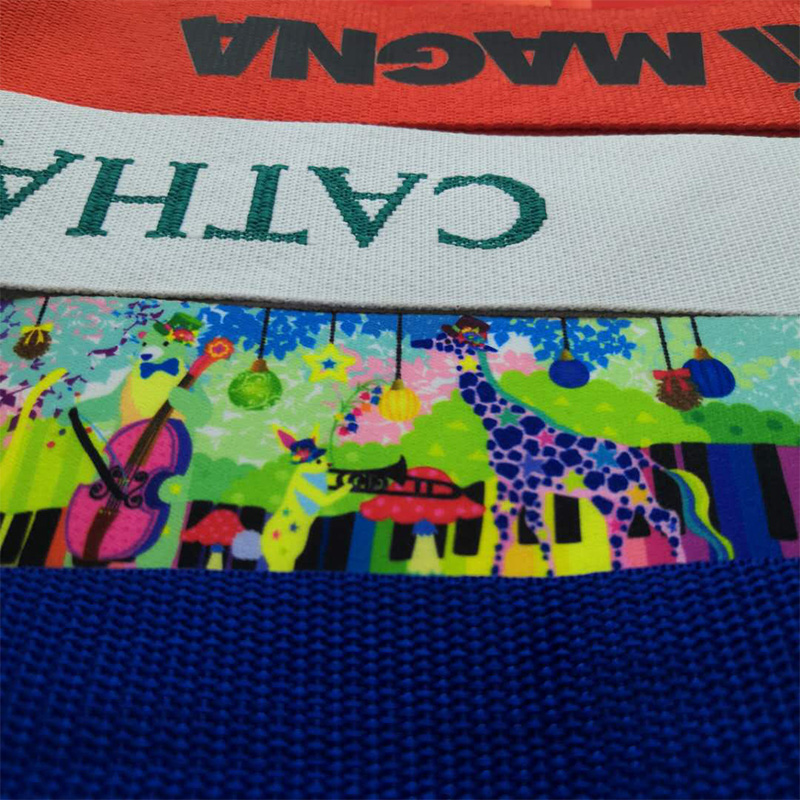 Άμεσες πωλήσεις διπλής όψεως μεταξοσκοπικών αποσκευών ζώνη θερμής μεταφοράς αποσκευών