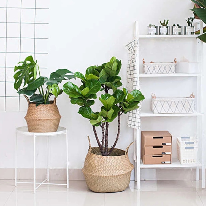 Υφασμένο καλαθάκι κοιλιάς Seagrass για αποθήκευση γλάστρα