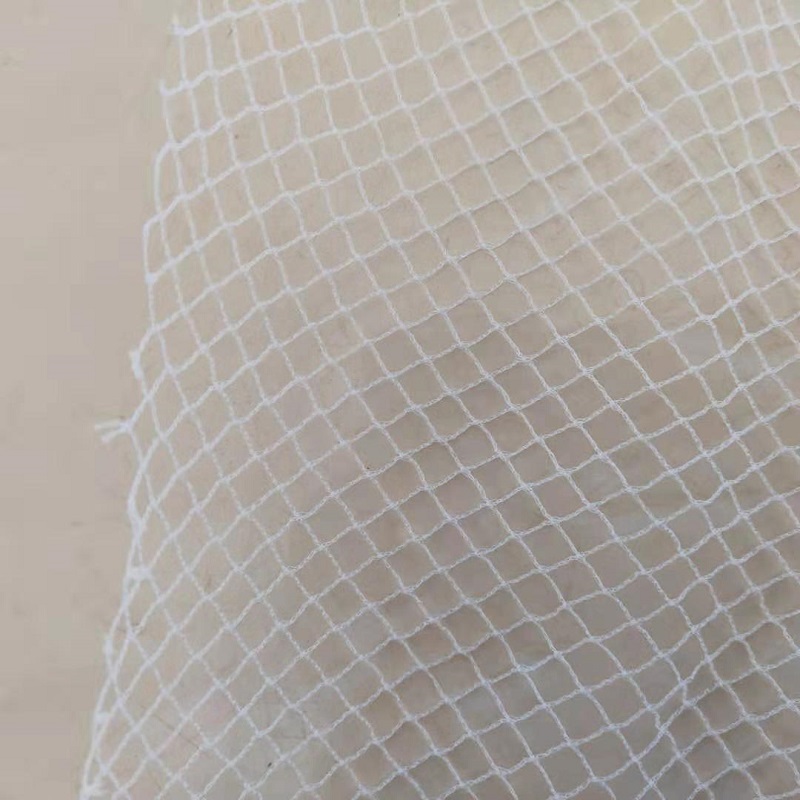 Εργοστάσιο προς πώληση HDPE Έντομο δίχτυ Γεωργία Anti Bird Net Greenhouse Cover Έντομο δίχτυ για οπωροφόρα δέντρα