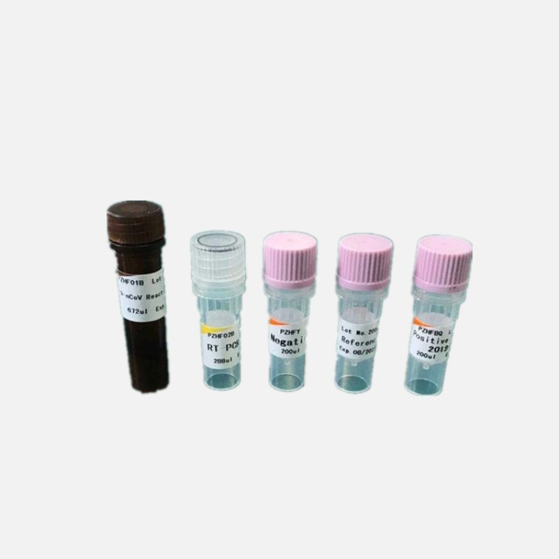 COVID-19 RT-PCR συσκευή ανίχνευσης