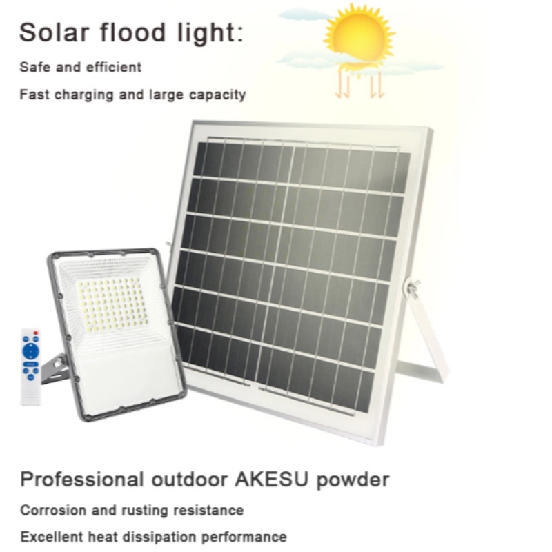 IP65 20W 30W 50W 100W Led Solar Flood Light with decreter