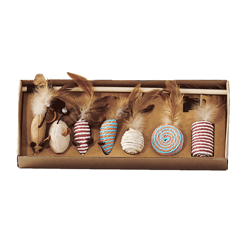 ΠΡΟΣΒΑΣΕΙΣ PET 2