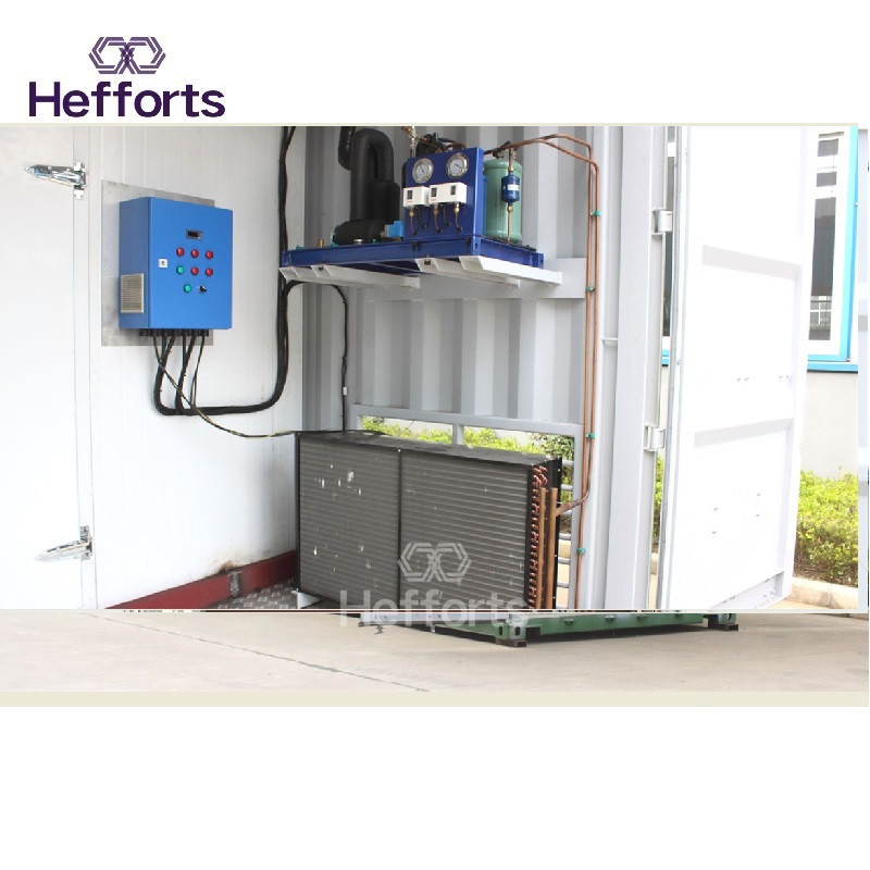 Ευρωπαϊκός υψηλός φήμης ενιαίος σταθμός, ψυκτικός καταψύκτης, είκοσι πόδια σε εμπορευματοκιβώτια.