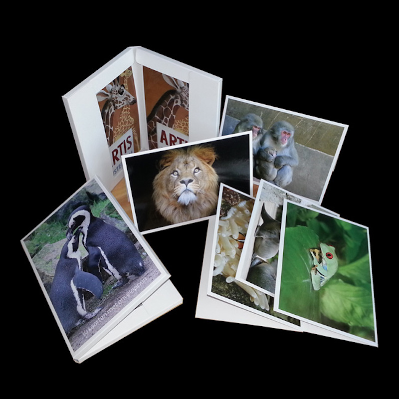 Χαιρετιστική κάρτα για όλες τις Περιστατικές, χάρτινη κάρτα, με φακελάκια.Ενθύμια για ταξιδιώτες