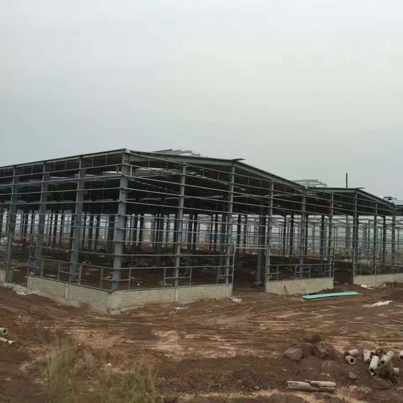 Εξαγωγή στην Ευρώπη Prefab Steel Structure Αποθήκευση κτιρίων Κατασκευές σε 100+ Χώρες