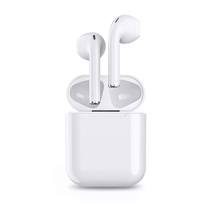 στ) ωτοασπίδες i12