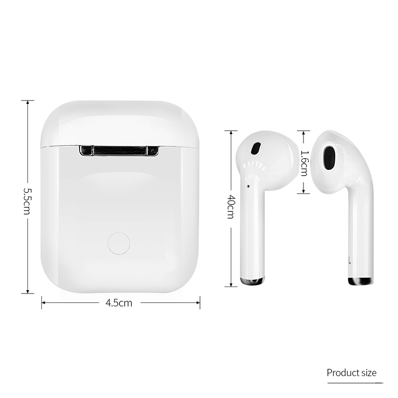 στ) ωτοασπίδες i12