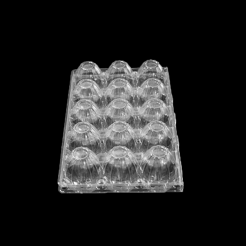 Πλαστικός δίσκος για 15 αυγά