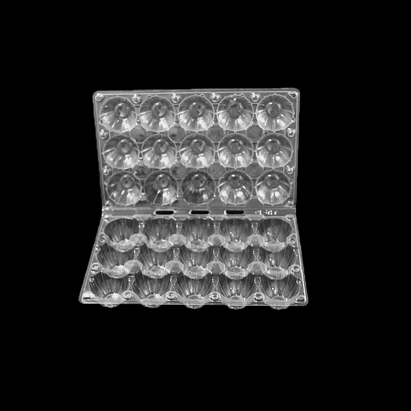 Πλαστικός δίσκος για 15 αυγά