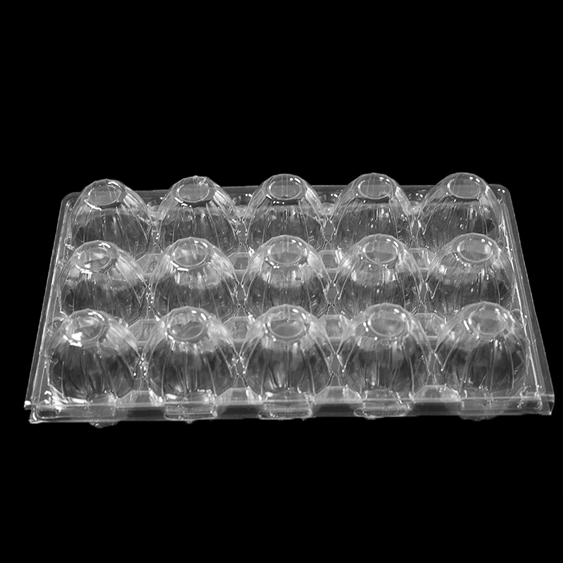 Πλαστικός δίσκος για 15 αυγά