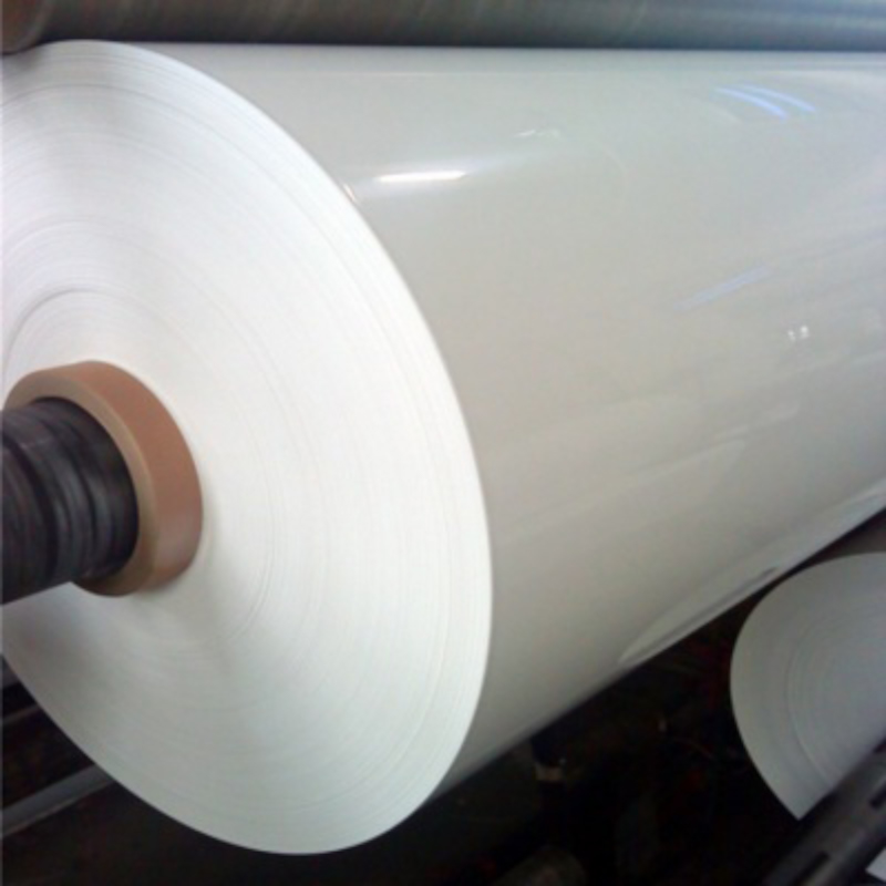 ΛΕΥΚΟ ΦΥΛΛΟ PET