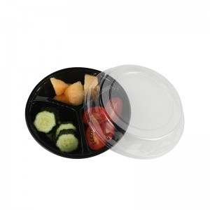 Συνοπτικός δίσκος