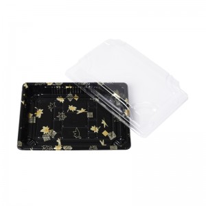 Σούσι Τρέι X-05