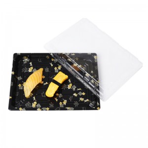 Σούσι Τρέι X-09