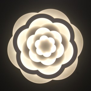 Φωτιστικό οροφής AC805