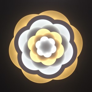 Φωτιστικό οροφής AC805