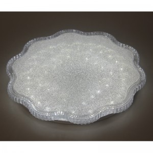 CX245 φως οροφής