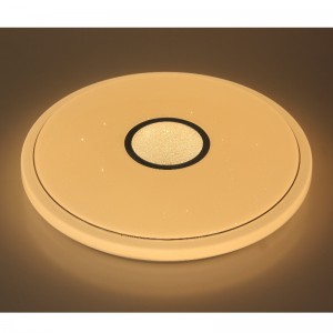 CX366 οροφή Light