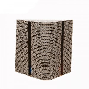 Τρίγωνο γάτας