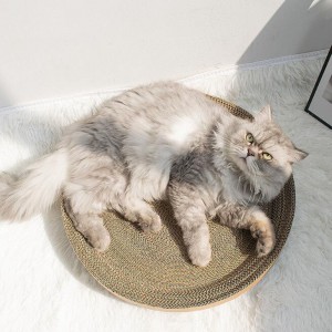 Cherry γάτα αρπάζει μπολ