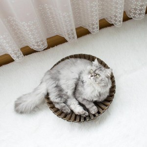 Ηλιοτρόπιο χαρτί γάτας φωλιά