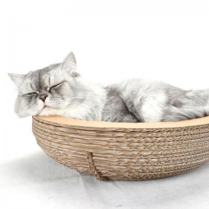 Χαρτί γάτας γάτας γρατσουνιά φωλιά