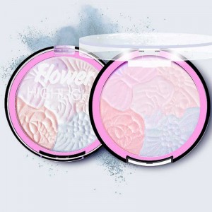 Σκουλαρίκια σκόνης σκόνης