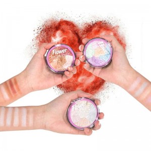 Σκουλαρίκια σκόνης σκόνης