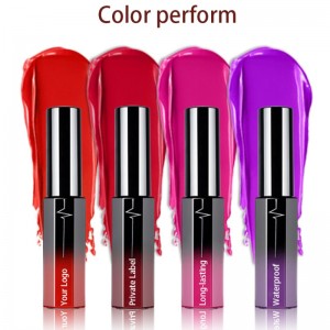 Μακράς διαρκείας υγρό κραγιόν