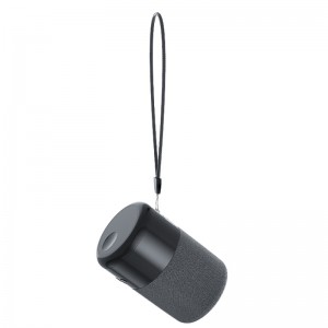 FB-BEB20 TWS Earlphones + Bluetooth Oaker 2 in 1 Combo