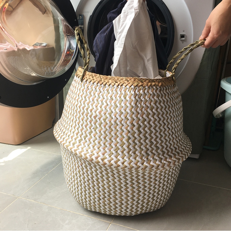 Αποθήκευση φύκια