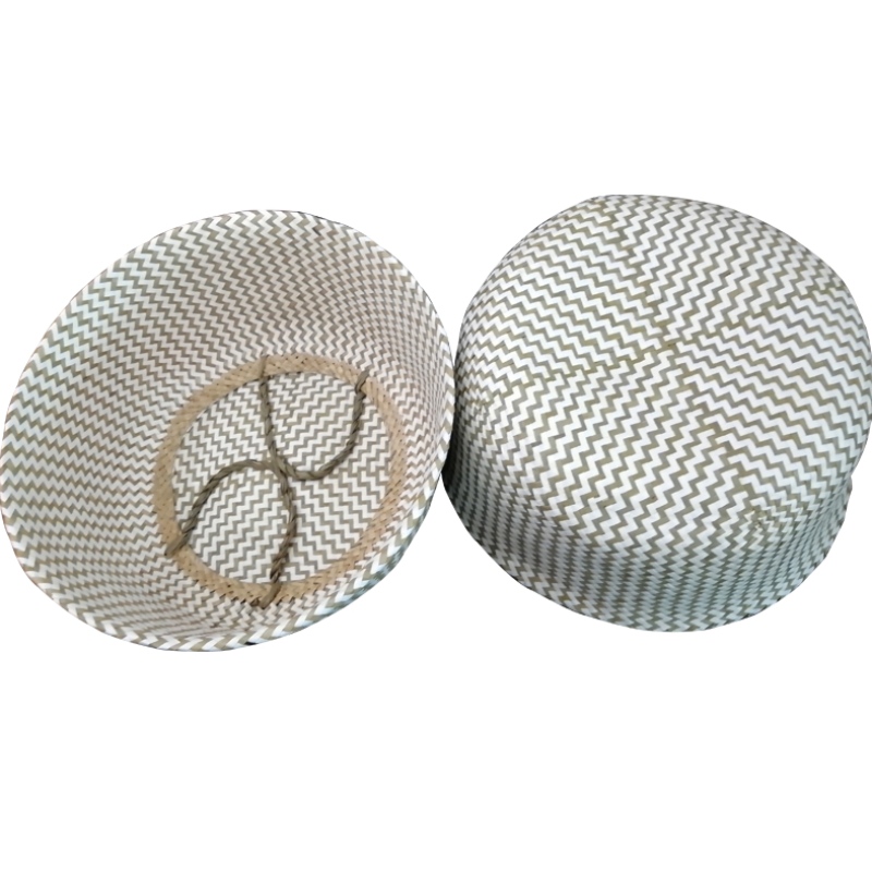 Αποθήκευση φύκια