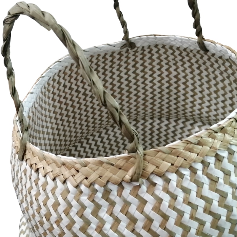 Αποθήκευση φύκια