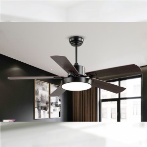 Φως ανεμιστήρας FL Z BS5671C 42