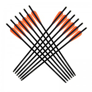 Elong Εξωτερική 117001 17inch 8850 Fiberglass Bolt Τοξοβολία Σκοποβολή Εξοπλισμός Σχολή Bolt