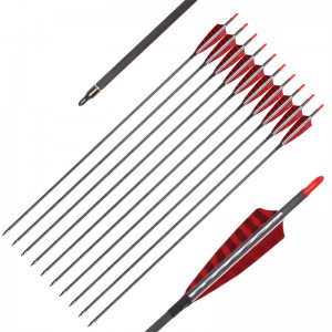 Elong Outdoor 112837 ID6.2mm SP500 Arrow Fiber Fiber arrow Τουρκία φτερό τοξοβολία γυρίσματα