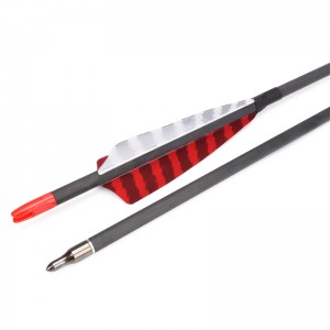 Elong Outdoor 112837 ID6.2mm SP500 Arrow Fiber Fiber arrow Τουρκία φτερό τοξοβολία γυρίσματα