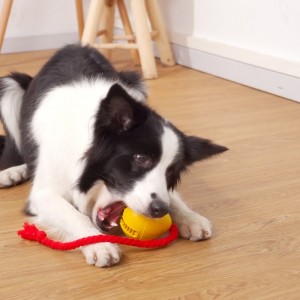 Καουτσούκ διαρροή σνακ παιχνίδι σκύλου