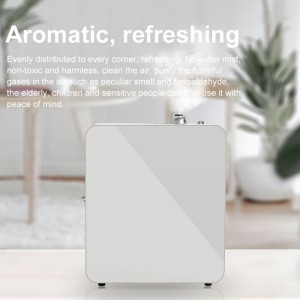 Dw-2000aroma diffuser