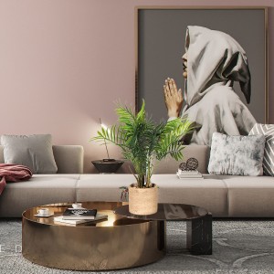 Πλαστικά τεχνητά φυτά διακοσμητικά για σαλόνι με υψηλή ποιότητα και ωραία εμφάνιση και πραγματική άγγιξε αίσθηση.