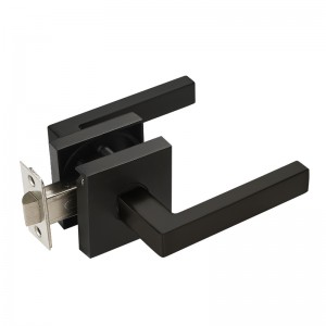 S7602 Βιβλίο Passage Passage Ρύθμιση κλειδαριάς πόρτας με κρυμμένες βίδες εγκατάστασης