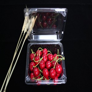 Συσκευασία τροφίμων Clamshell