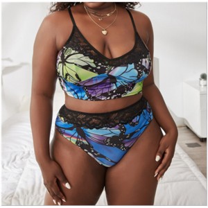 Νέα δαντέλα τυπωμένο άνετο σετ εσώρουχα: εργοστάσιο χονδρικής πώλησης