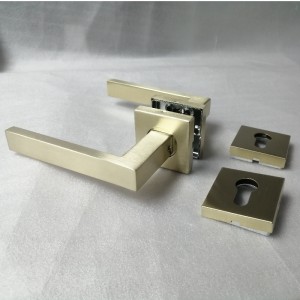 F5450 Ανοξείδωτο χάλυβα Lover Mortise Lock, κλειδαριά λαβής με συντελεστή εισόδου