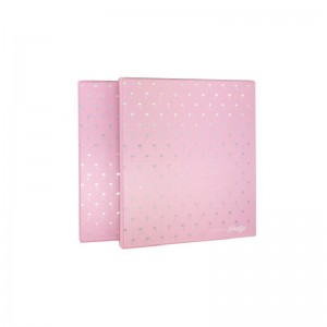 Σχολείο A4 μέγεθος Πλαστικό μοχλό Αρχείο Αρχείο Φάκελος 3 O Δαχτυλίδι δαχτυλίδι για έγγραφο